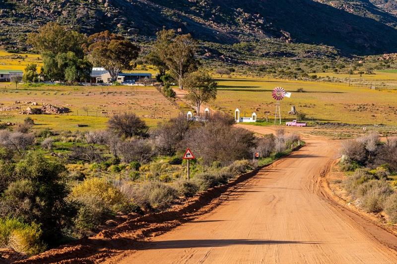 Namaqualand Flower Season is Upon Us – Make it Memorable